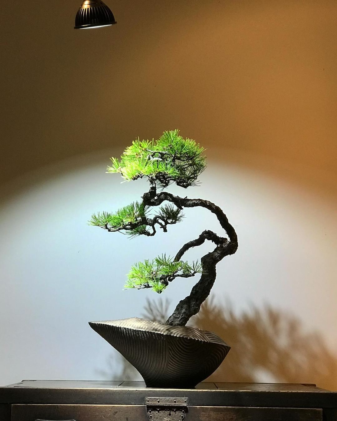 植物育成ライト専門店BARREL公式サイト